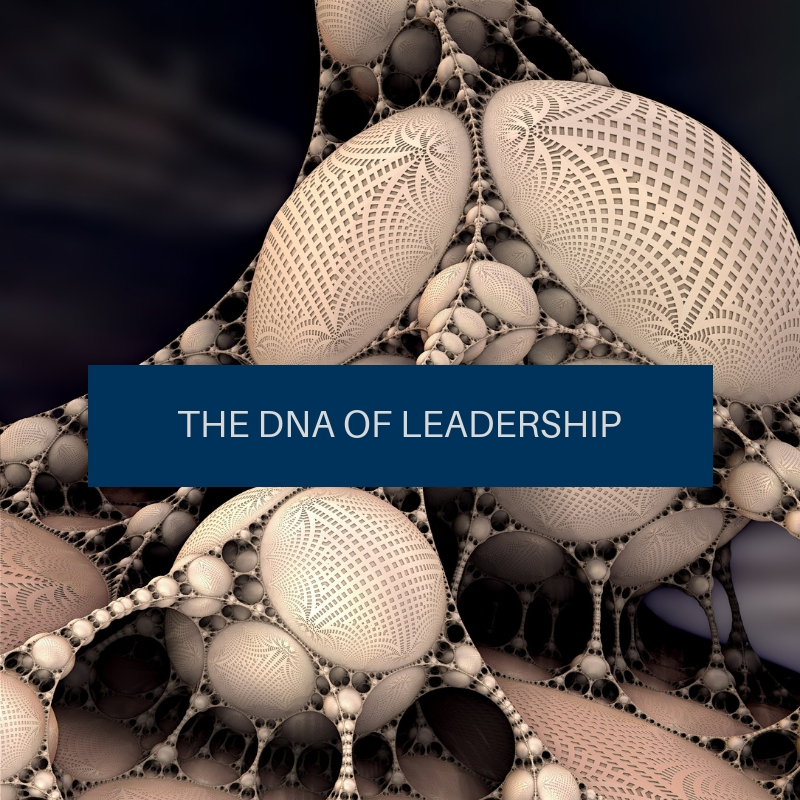 THE DNA OF LEADERSHIP